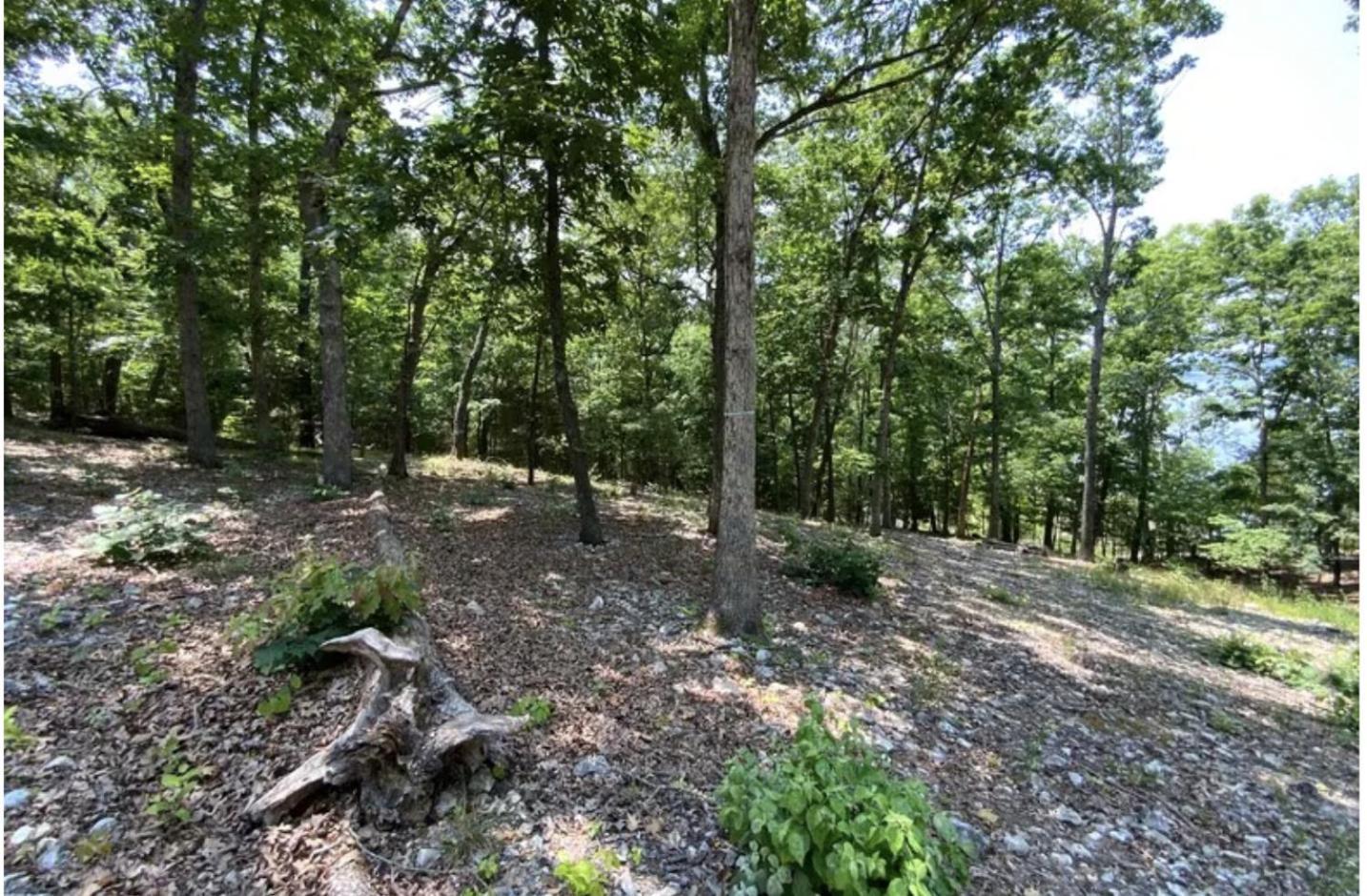 Driftwood Resort Bull Shoals Buitenkant foto