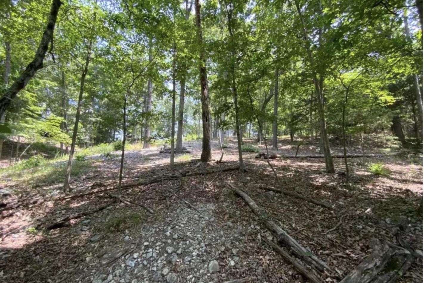 Driftwood Resort Bull Shoals Buitenkant foto