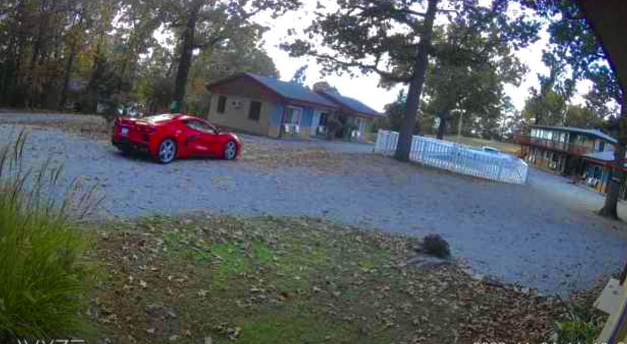 Driftwood Resort Bull Shoals Buitenkant foto